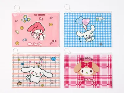 Plastic zipper pouches